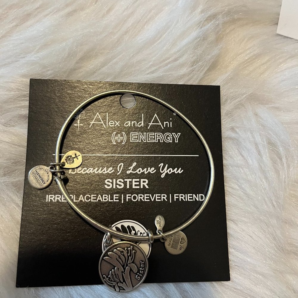 Alex and Ani Because I Love My Sister Bangle Bracelet Silver